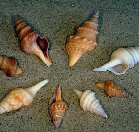 Vale Di Mille Parole Appartement *